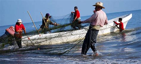 Estrategias De Combate Contra Pesca Ilegal Almomento Noticias