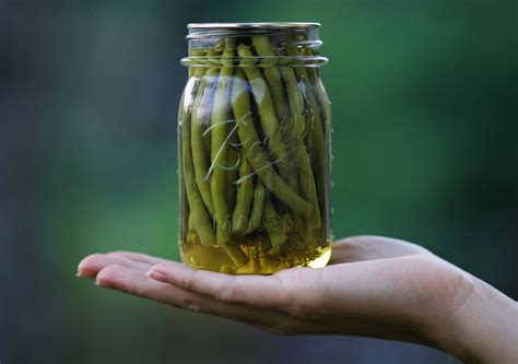 24 Hour Pickled Green Bean Recipe