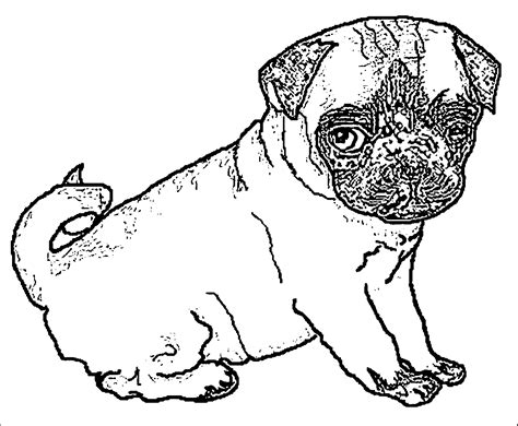 Pug Coloring Pages To Download And Print For Free