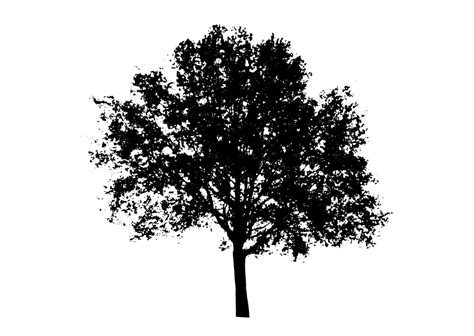 Clipart - tree silhouette 5 | Tree silhouette, Silhouette ...