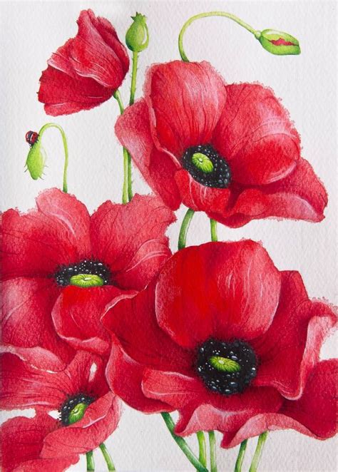 Poppies Painting Poppy Flower Painting Flower Painting Flower Drawing
