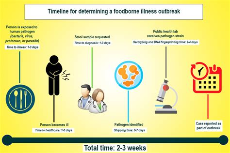 Foodborne disease such as cholera, typhoid fever, hepatitis a, dysentery and food poisoning (blackburn and mcclure, 2002) usually are caused. How Does the CDC Detect Foodborne Illnesses?