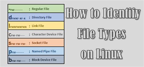 How To Identify File Types In Linux