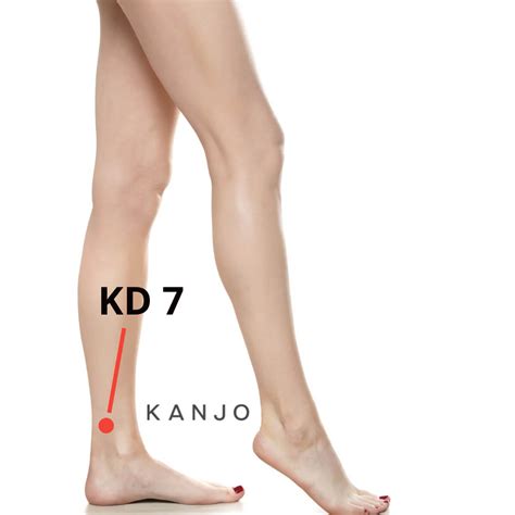 9 Pressure Points For Kidney Health Kanjo
