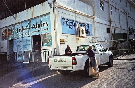 Fish Market Houtbay Pictures Hout Bay Fishmeal Plant Closes But Gap