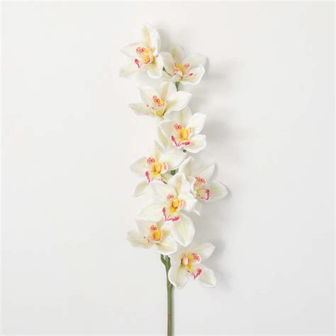Wholesale Cymbidium Orchid Stem Stems White Ga Stems Good 101 2