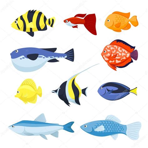 Vector Fish Set Underwater And Aquarium Fishes — Stock Vector © Mssa