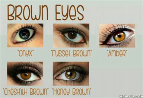 Freshlook Colorblends Color Chart For Brown Eyes