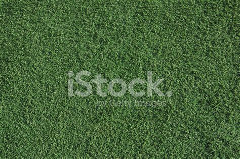 Green Artificial Turf Stock Photo Royalty Free Freeimages