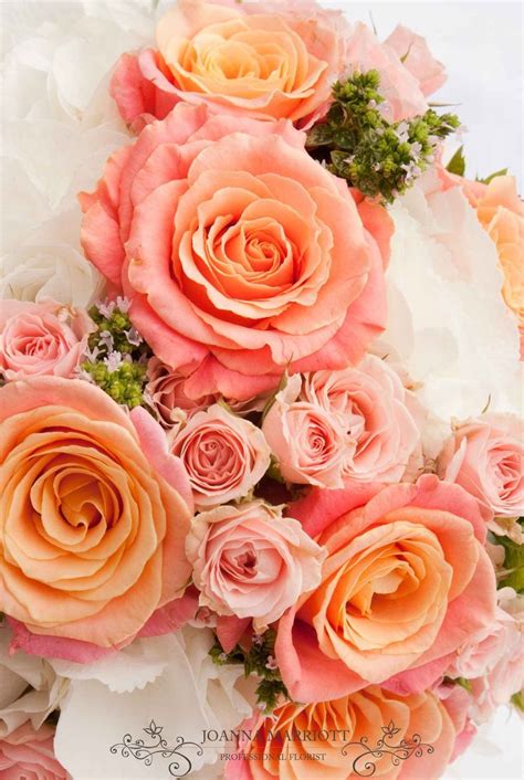 Each lady is wearing one of the different colors and the groomsmen is gonna wear the same color that the lady that they walk down the aisle. White, pale pink coral wedding theme. Coral roses, pale ...