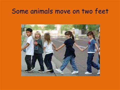 How Do Animals Move