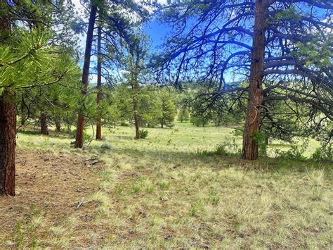 7485 Eagle Springs Rd, Westcliffe, CO 81252 | LandWatch