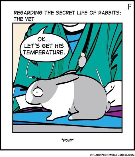 26 Cute Illustrations Showing The Secret Life Of Rabbits Secret Life