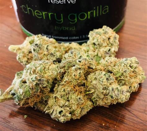 Cherry Gorilla Cannabis Strain Weed Xpress Dispensary Uk