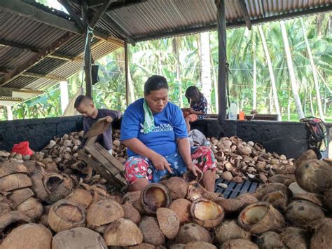 Grameen Foundations Program Improves Livelihoods Of 25000 Coconut