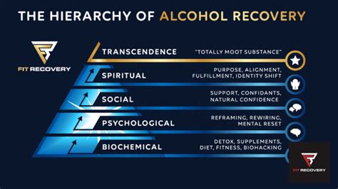 The Hierarchy And Phases Of Alcohol Addiction Recovery Step By Step