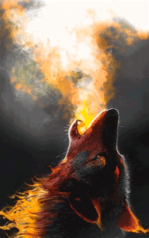 🐺the Beautiful Wolf ♡ ️♡ Fotos De Lobo Cuadros De Animales