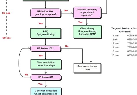 Neonatal Resuscitation Triangle