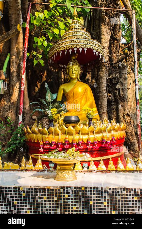Buddha Under The Bodhi Tree Stock Photo Alamy