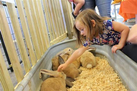 Plumpton Park Zoo Welcomes New Baby Animals Spotlight