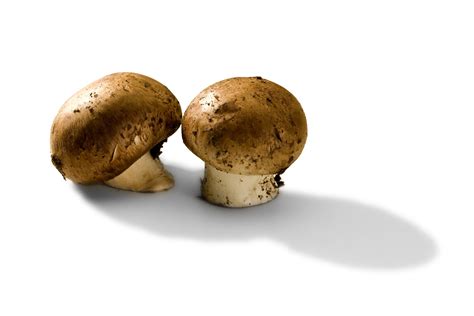 These Are The Types Of Mushrooms You Need To Know About Bon Appétit