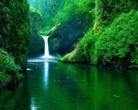 Magic Waterfall In The Green Nature