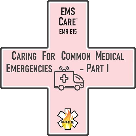 Emr Initial Ems Care Ch Emr E15 Caring For Common Medical