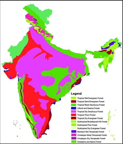 All About India State Of Forest Report