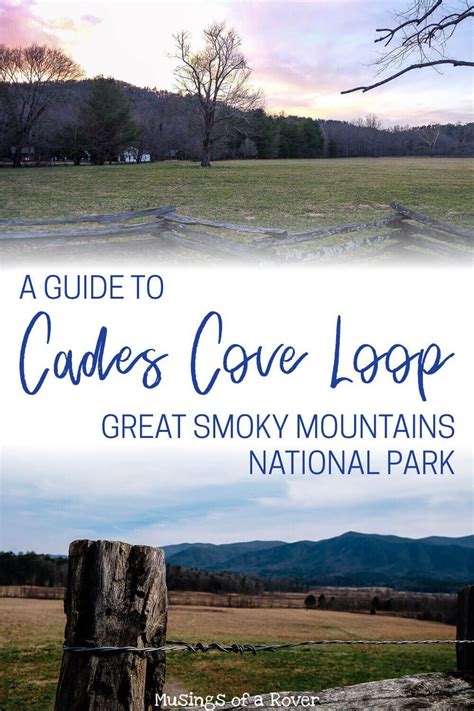 Driving The Cades Cove Loop Road What You Need To Know Smokey