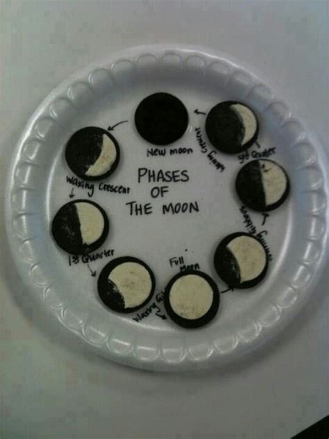 Moon Phases Homeschool Science 6th Grade Science Science Classroom