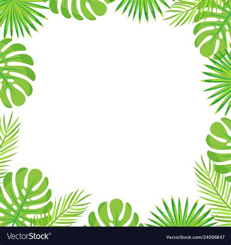 Affordable and search from millions of royalty free images, photos and vectors. Tropical leaves border isolated green palm leaves Vector Image