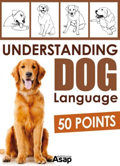 Understanding Dog Language 50 Points Vetbooks