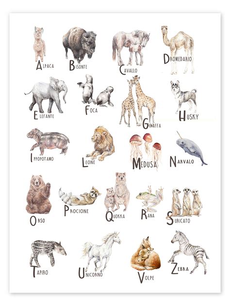 Animal Alphabet Italian Print By Wandering Laur Posterlounge