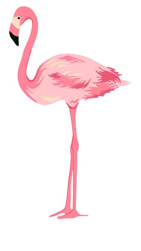 Flamingo Transparent Background Png Mart
