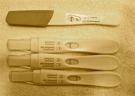 Blatant Borrower My Husband Took A Pregnancy Test