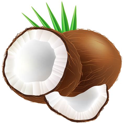 Transparenter Hintergrund Der Kokosnuss PNG