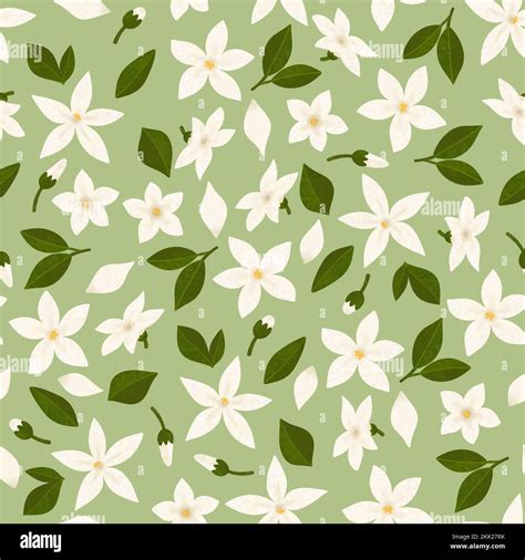 346 Wallpaper Jasmine Flower Free Download Myweb