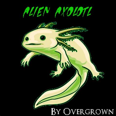 Alien Axolotl Origin Origins Fabric Updated Minecraft Data Pack