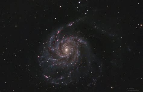 M101 Pinwheel Galaxy In Hargb Astrophotography