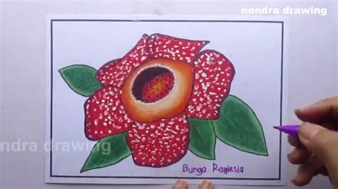 Menggambar Bunga Rafflesia Arnordibunga Langka Youtube