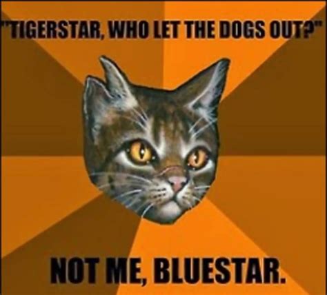 Fuck Yeah Warrior Cats Memes Warrior Cats Funny Warrior Cat Memes Hot