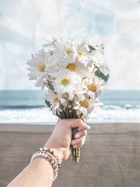 Bouquet Of Daisies Hands Holding Flowers Flowers Photography
