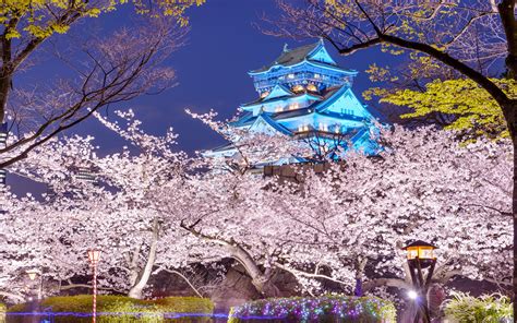Download Spring Japan Osaka Man Made Osaka Castle Hd Wallpaper By Sean