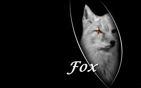 White Fox Wallpapers Wallpaper Cave