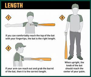 How To Buy A Baseball Bat Pro Tips By 39 S Sporting Goods