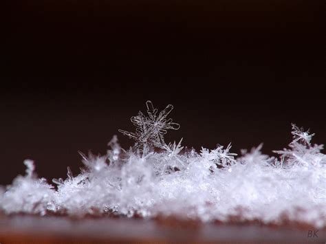 20 Majestic Close Up Pictures Of Snowflakes The Photo Argus