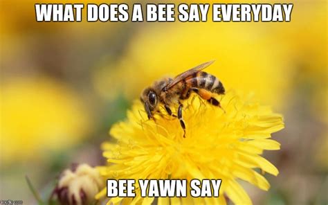 Image Tagged In A Bee On Flower Imgflip