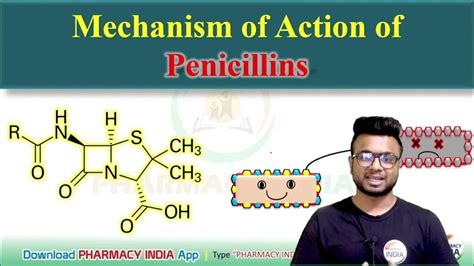 Mechanism Of Action Of Penicillins Pharmacology Youtube