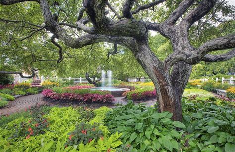 Garden Park Fountain Trees Landscape Wallpapers Hd Desktop And