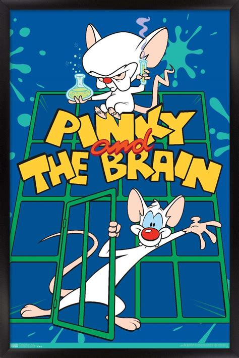 Pinky and the brain is an american animated television series that aired on kids' wb from 1995 to 1998. Pinky and the Brain - Key Art Poster - Walmart.com - Walmart.com
